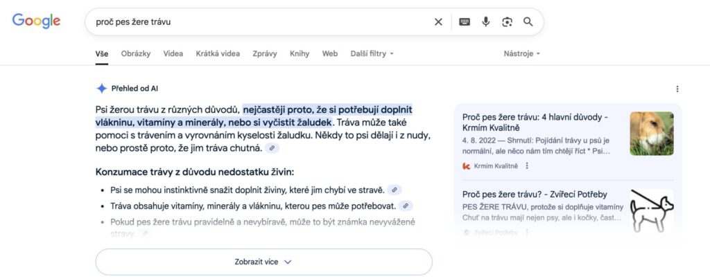 AI Overview zcela nahoře